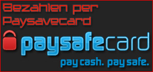 paysafecard coins kaufen